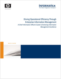 A CIO's Guide to Achieving Information Management Excellence