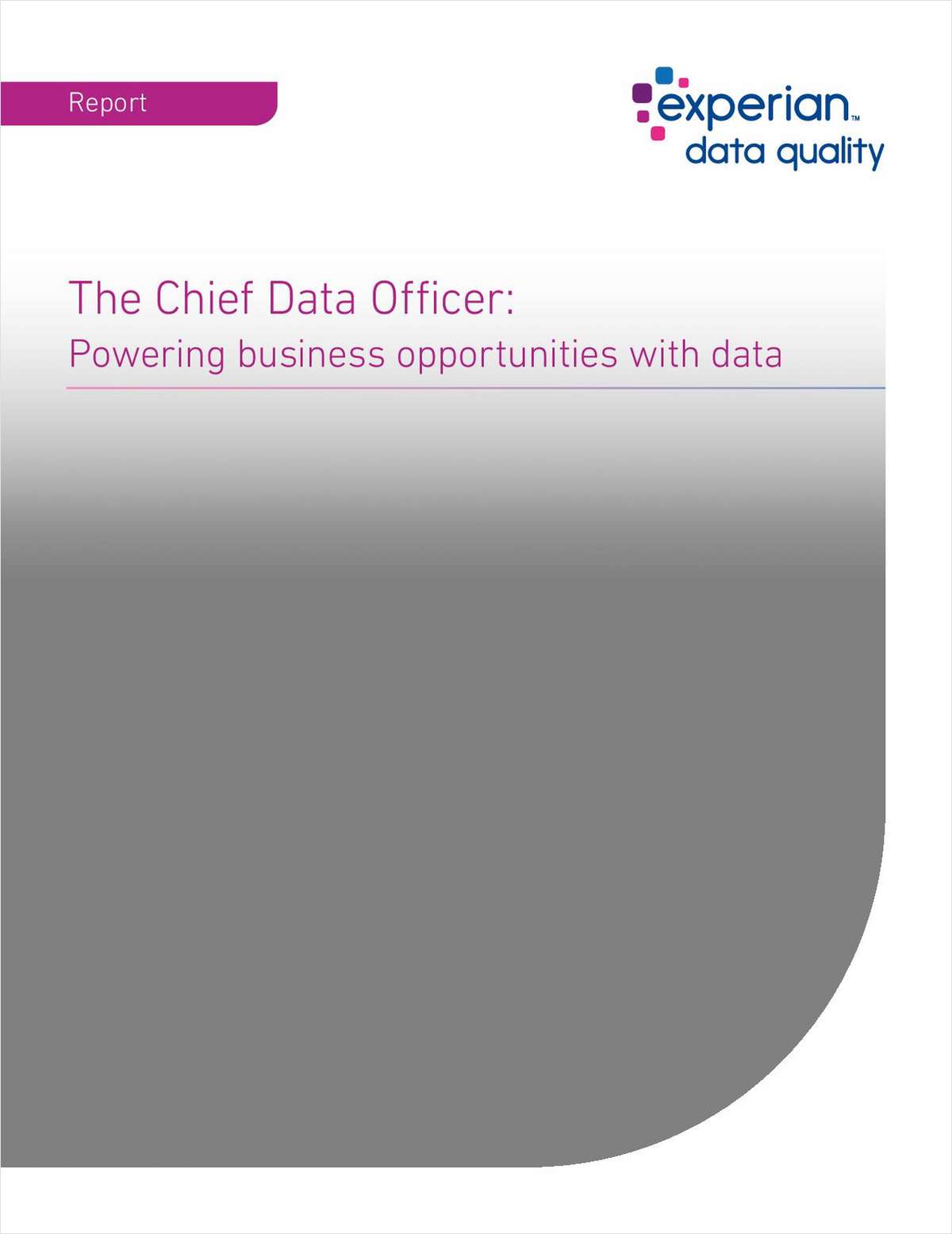 The Chief Data Officer: Powering business opportunities with data