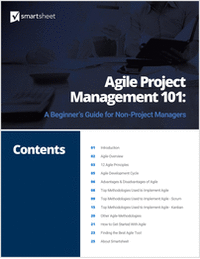 Agile Project Management 101: A Beginner's Guide