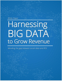 Harnessing Big Data to Grow Revenue