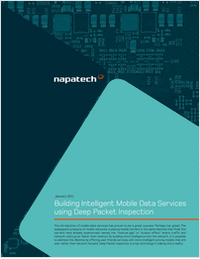 Building Intelligent Mobile Data Services Using Deep Packet Inspection for Telecom Equipment Vendors