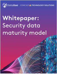 Whitepaper: Security data maturity model