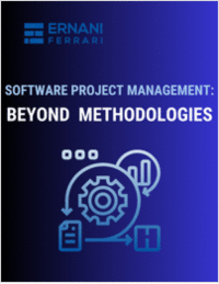 Software Project Management: Beyond Methodologies