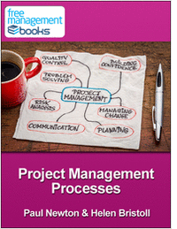 Project Management Processes - Developing Your Project Management Skills