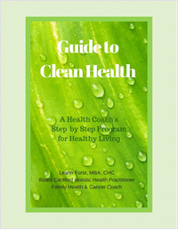 Guide to Clean Health - A Health Coach's Step by Step Program for Healthy Living