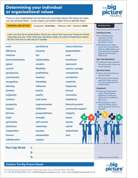 Determining Your Individual or Organizational Values