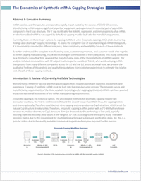 The Economics of Synthetic mRNA Capping Strategies