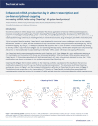 Enhanced mRNA production by in vitro transcription and co-transcriptional capping