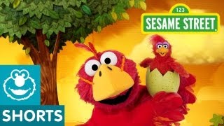 Sesame Street: What if Elmo was a Bird? (Elmo the Musical)