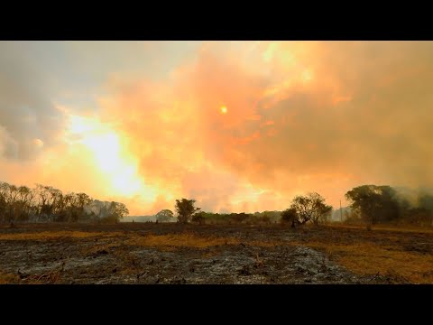 Do alerta global às soluções locais: Como enfrentar a crise climática