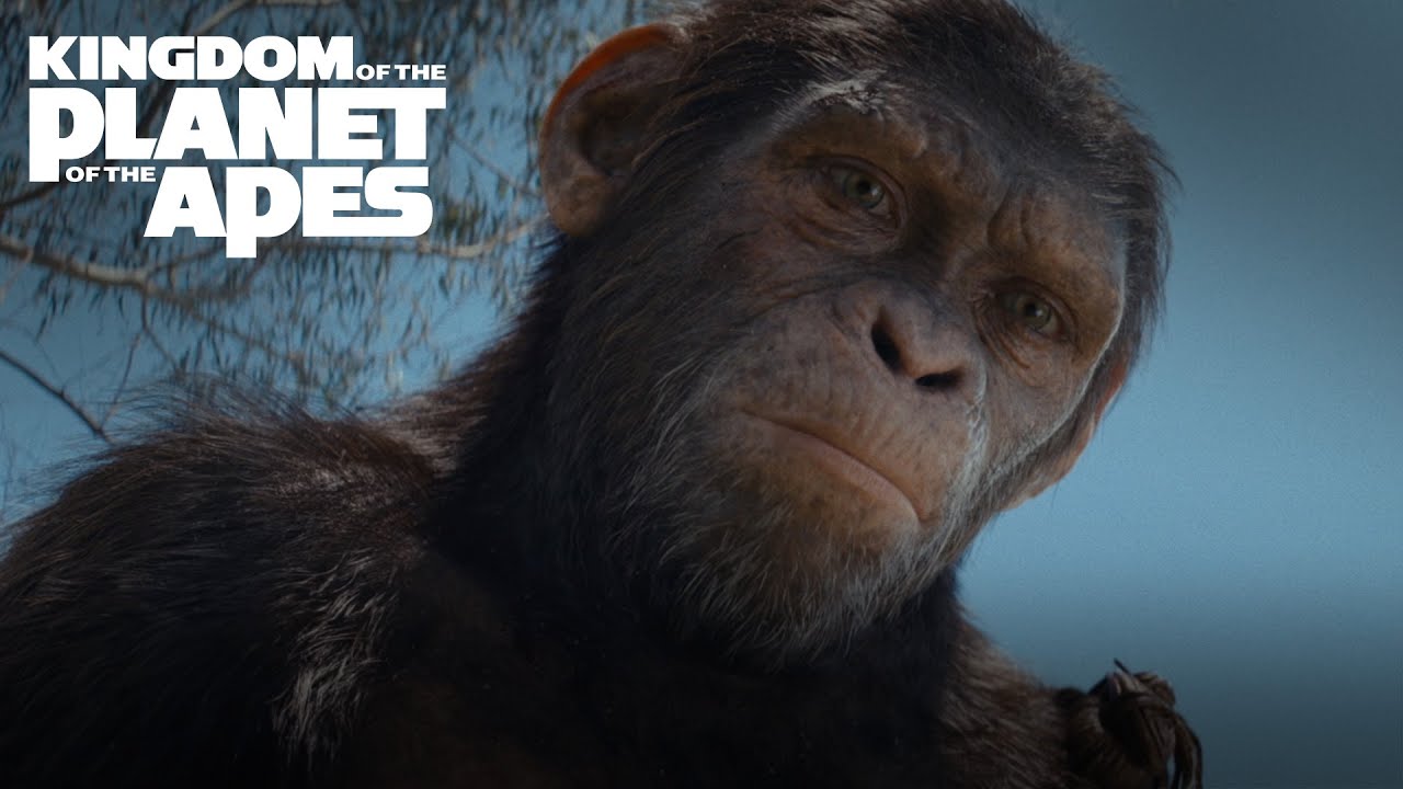 Kingdom of the Planet of the Apes | Own it on digital July 9 and on Blu-ray August 27