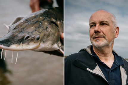 Fischsterben in der Oder: "Ich gebe die Hoffnung nicht auf"