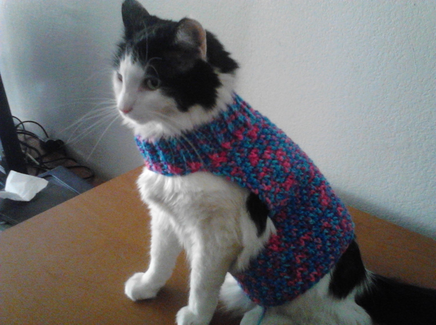 Crochet Cat Sweater Mock Turtleneck by ZeldasCuriosities on Etsy