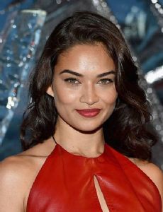 Shanina Shaik