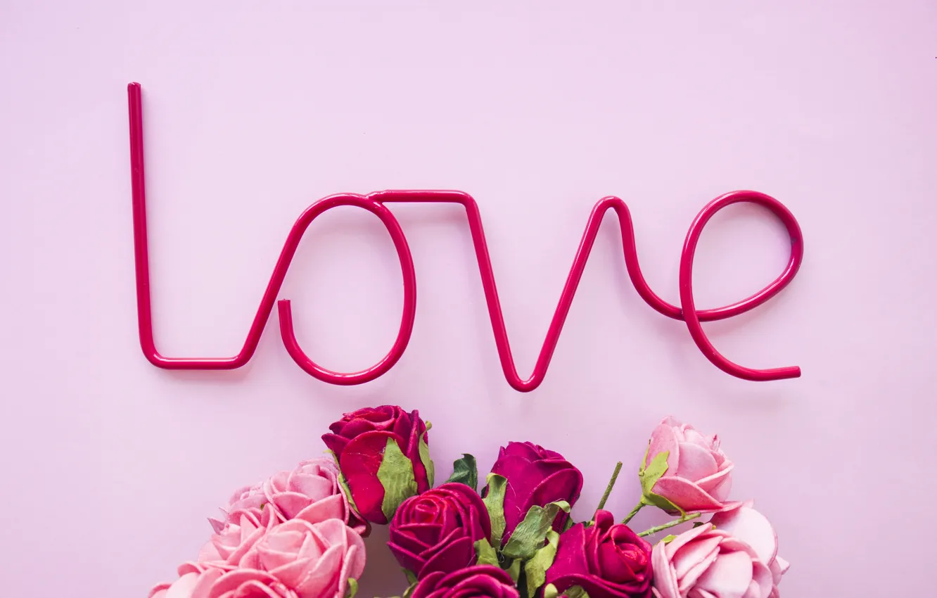 Wallpaper love, flowers, roses, love, pink background, pink, flowers,  beautiful, romantic, roses images for desktop, section цветы - download