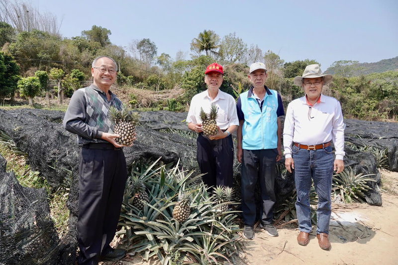 關切鳳梨產銷困境，高雄市議會農林委員會一行11日由第一召集人國民黨議員林義迪（右3）率隊，先後前往內門、美濃實地考察。（高雄市議會提供）中央社記者蔡孟妤傳真 112年4月11日