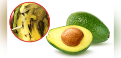 ¿Por qué la palta (aguacate) tiene hilos marrones? ¿Es seguro comerlos?