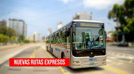 Metropolitano, nuevos buses expresos: ¿qué paraderos se implementan en la ampliación norte?