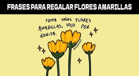 Estas son las mejores frases y mensajes lindos para regalar Flores Amarillas el 21 de Septiembre