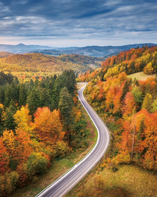 秋季旅行提案