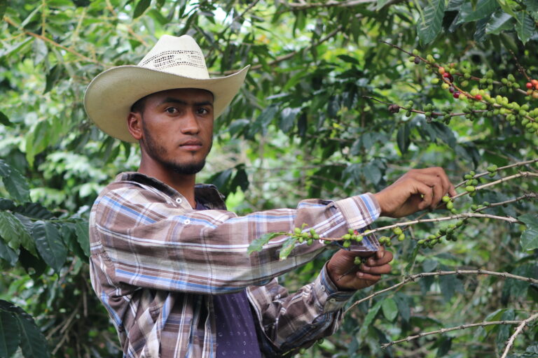 Indigenous Tolupan people cultivating crops in Yoro, Honduras