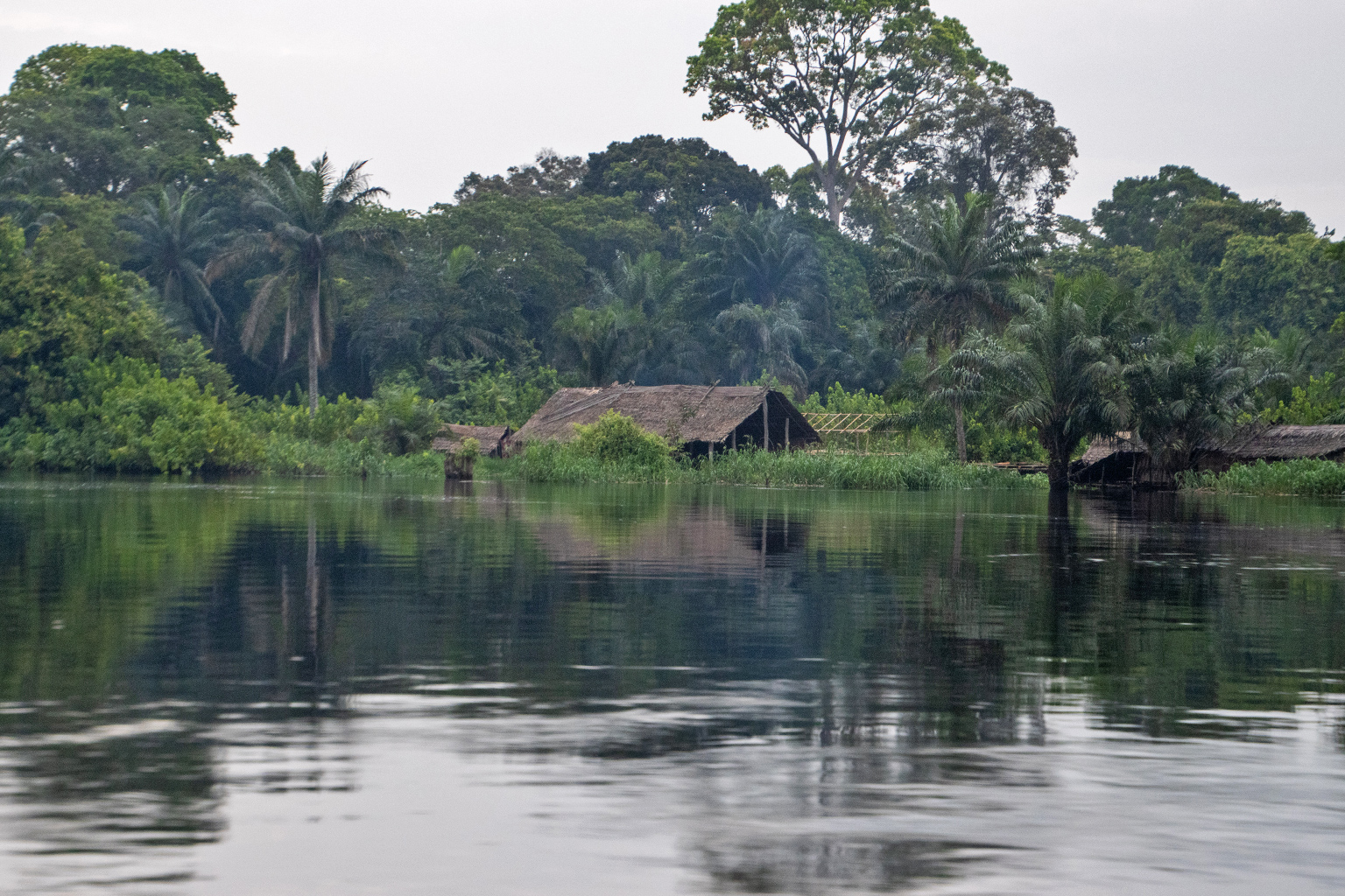 Flooding along the Congo River, Febraury 2024.