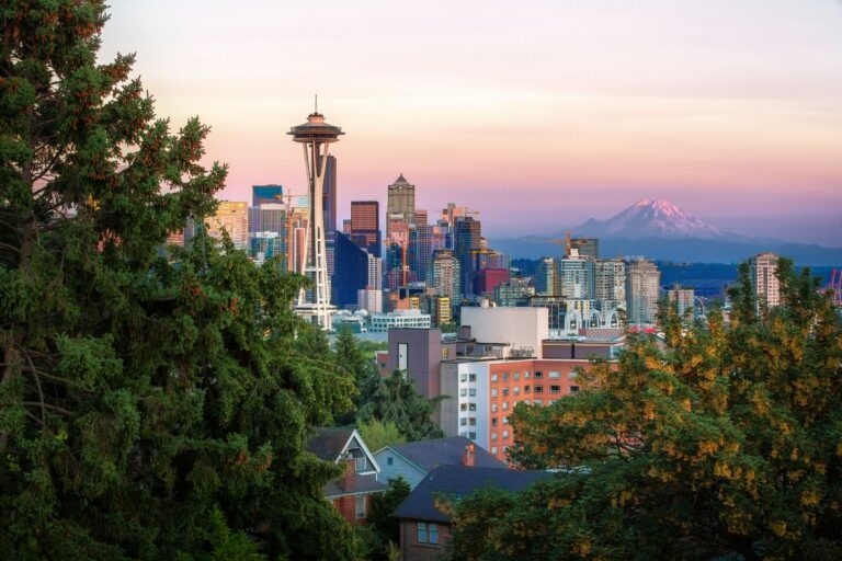 Cityscape of Seattle, U.S., with trees in the foreground.