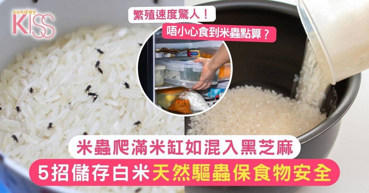 米蟲爬滿米缸如混入黑芝麻！5招儲存白米 天然驅蟲保食物安全