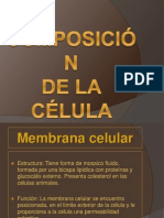 Componentes Celulares Eucarióticos - David Casas Cabanes, Pedro Andrés Rabadán y Andrés Benjamín Fernandez