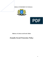 Somalia Social Protection Policy: The Federal Government of Somalia