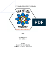 Laporan Hasil Praktikum Kimia Nur Alisya