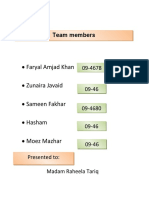 Faryal Amjad Khan Zunaira Javaid Sameen Fakhar Hasham Moez Mazhar