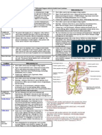 Differential Diagnosis