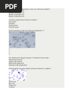 Soal Hematologi