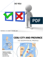 TD 2 - Cebu City and Province Geophysical Profile