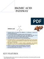 01.1 Shikimic Acid Pathway