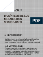 6 Biosintesis de Los Metabolitos Secundarios (Ing. Felix Torrico)