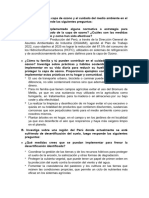 La Capa de Ozono y El Cuidado Del Medio Ambiente en El Perú