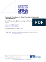 Literature Review Endoscopic Techniques For Spinal Oncology: A Systematic