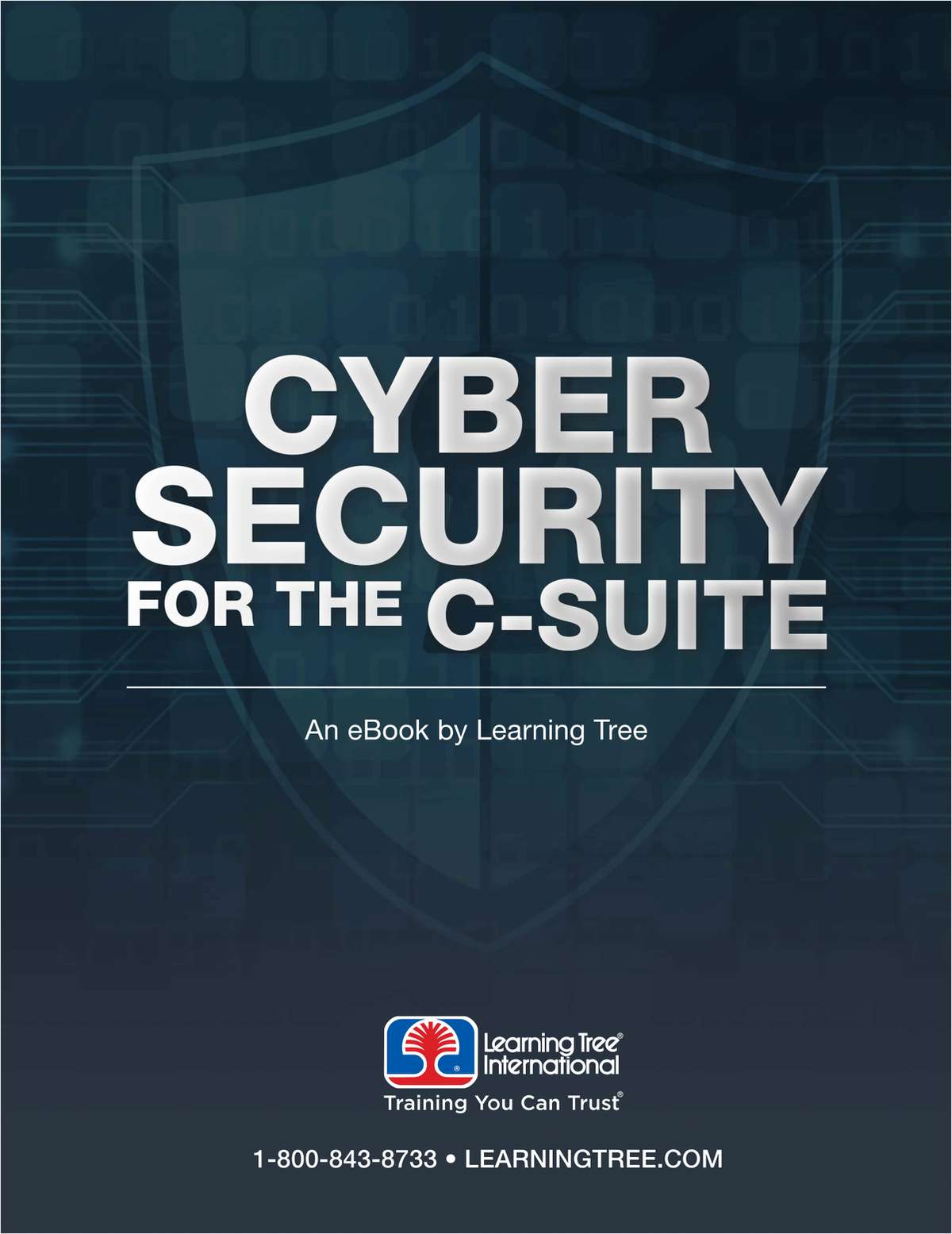 Cyber Security for the C-Suite