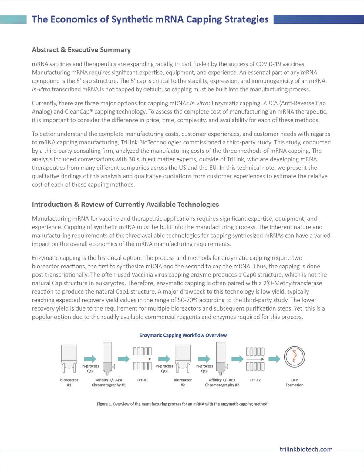 The Economics of Synthetic mRNA Capping Strategies