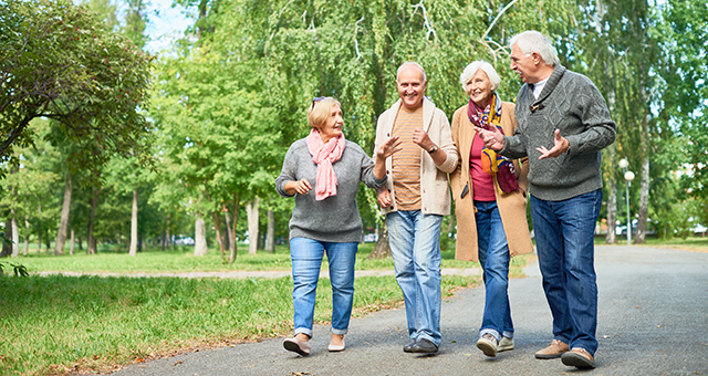 Adult Walking Club: The "Garfield Gaiters"