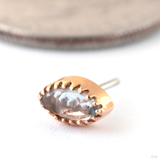 Marquis Scalloped Press-fit End in 14k Rose Gold with Purple CZ from Tawapa