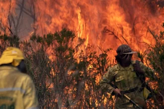 Inpe: Brasil teve mais de 278 mil focos de incêndio em 2024