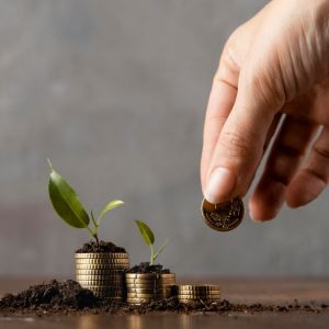 Foto de uma mão colocando uma moeda em uma pilha de outras moedas. Ao lado há pilhas maiores com uma planta "nascendo".