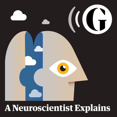 A Neuroscientist Explains:The Guardian