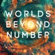 Worlds Beyond Number