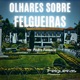 Felgueiras Magazine Podcast