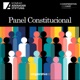 Panel Constitucional