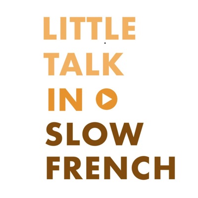 Little Talk in Slow French:Nagisa Morimoto